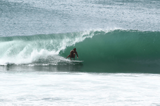 A Conversation with Thomas “THOS” Carson of Bear Flag Fish Company