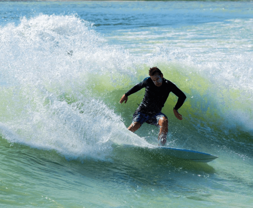 A Conversation with Tom Carey_PUP DIVISION